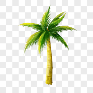 椰子树热带椰子高清图片