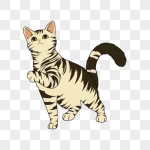 虎斑猫宠物猫斑丽高清图片