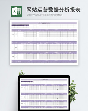 网站运营数据分析报表图片