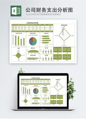 公司财务支出分析图excel文档