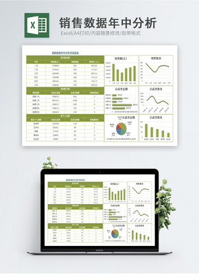 销售数据年中分析excel文档