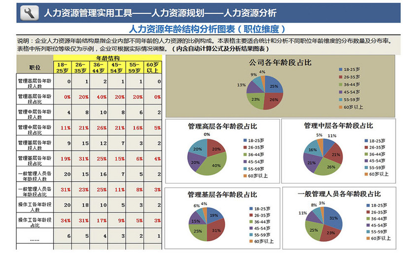 人力资源年龄结构分析图表(职位维度)