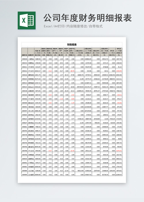 公司年度财务明细报表Excel模板