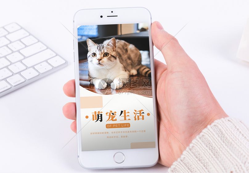 宠物生活手机海报配图