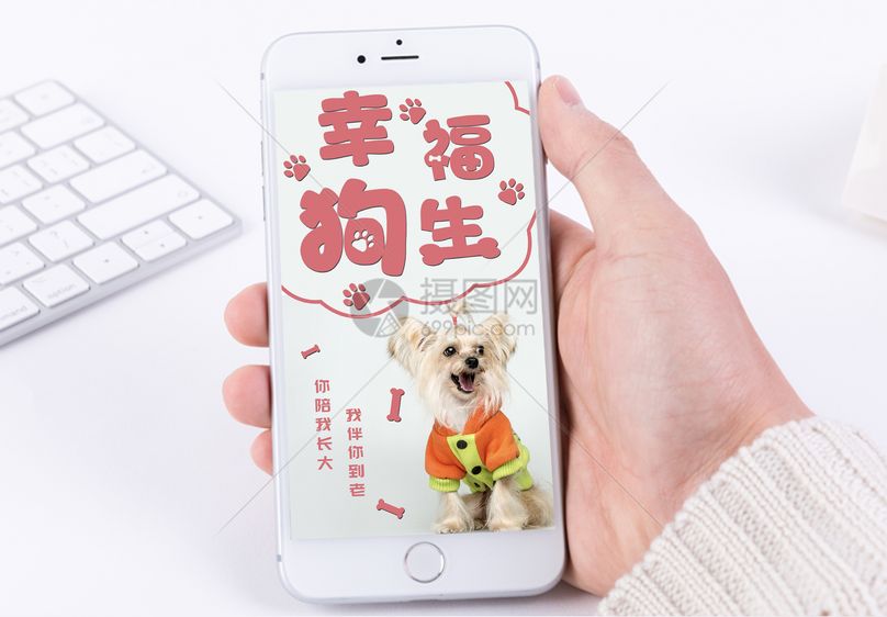 宠物手机海报配图