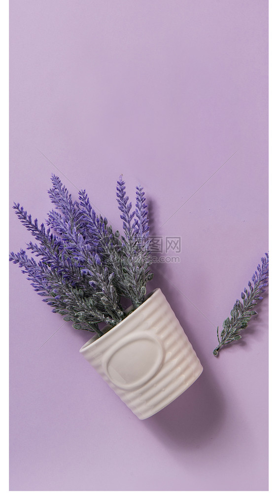 熏衣草手机壁纸图片素材_免费下载_jpg图片格