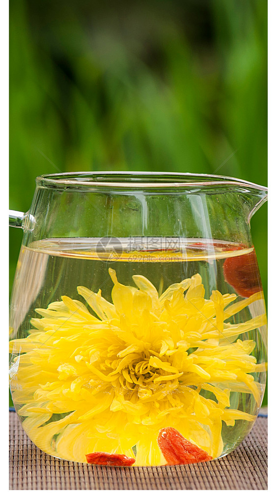 菊花茶手机壁纸
