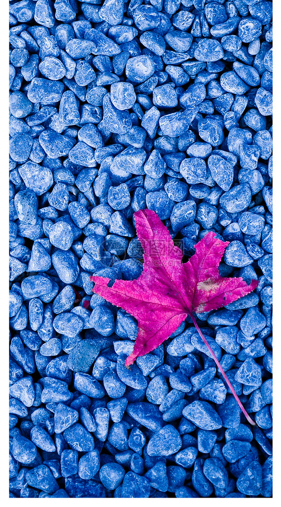 青石子路面手机壁纸