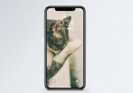 美短图片_美短素材_美短高清图片_摄图网图片