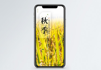 朋友圈背景图片_朋友圈背景素材_朋友圈背景