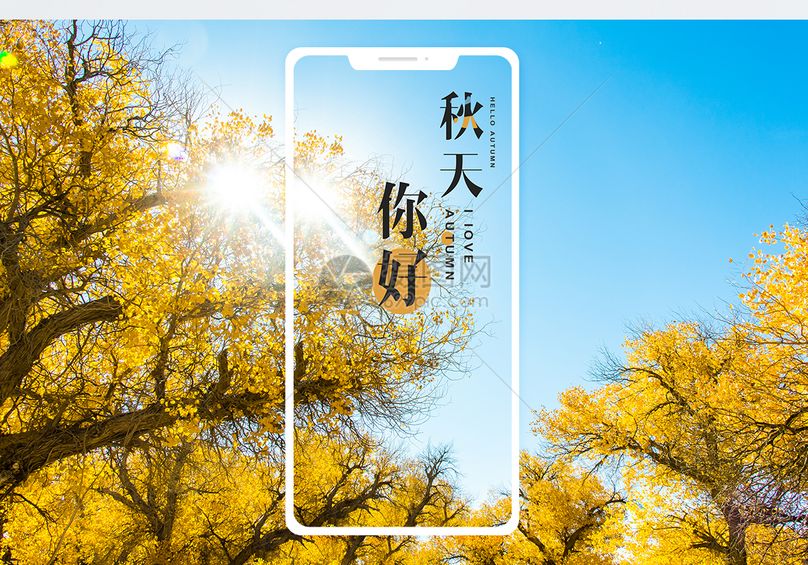 秋天你好手机海报配图