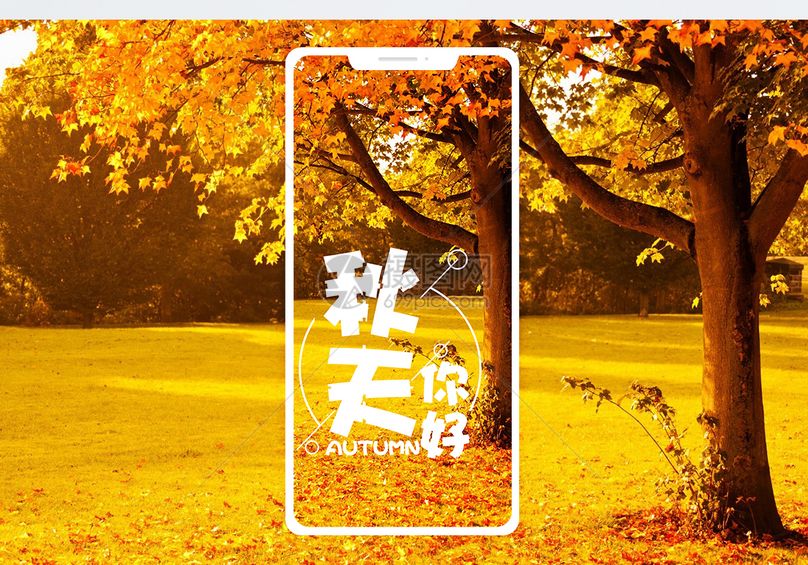 秋天你好手机海报配图