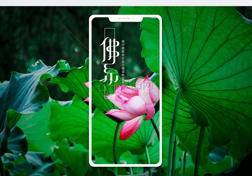 佛性莲花手机海报配图