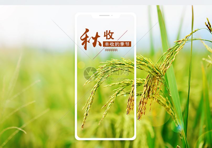 花瓣 举报 标签: 丰收微信图片微博配图手机图片手机海报收获文章配图