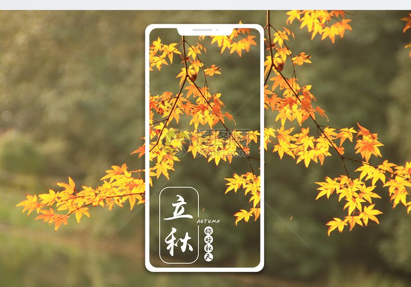 手机海报 立秋手机海报配图jpg  分享: qq好友 微信朋友圈 qq空间