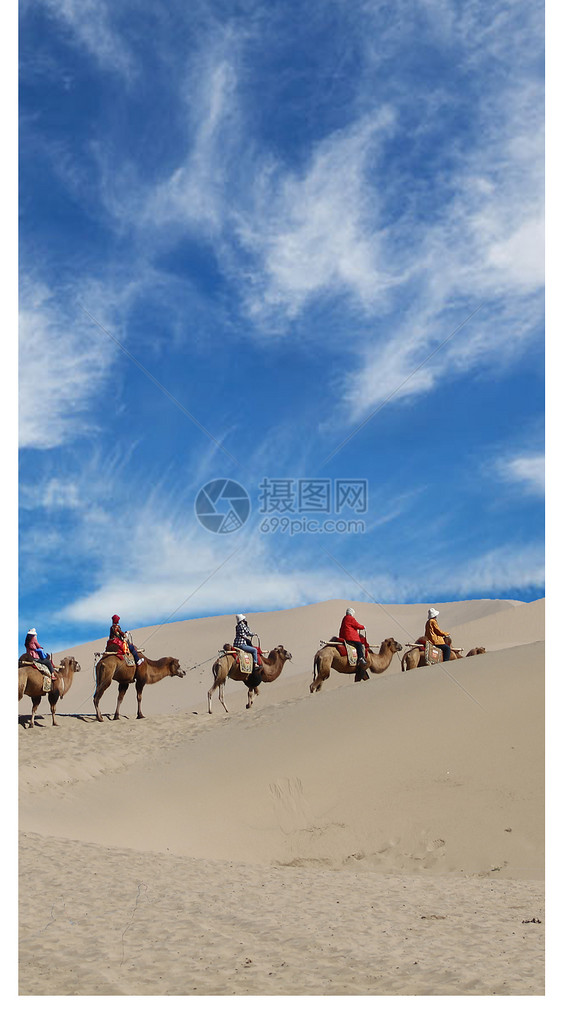 沙漠骆驼手机壁纸