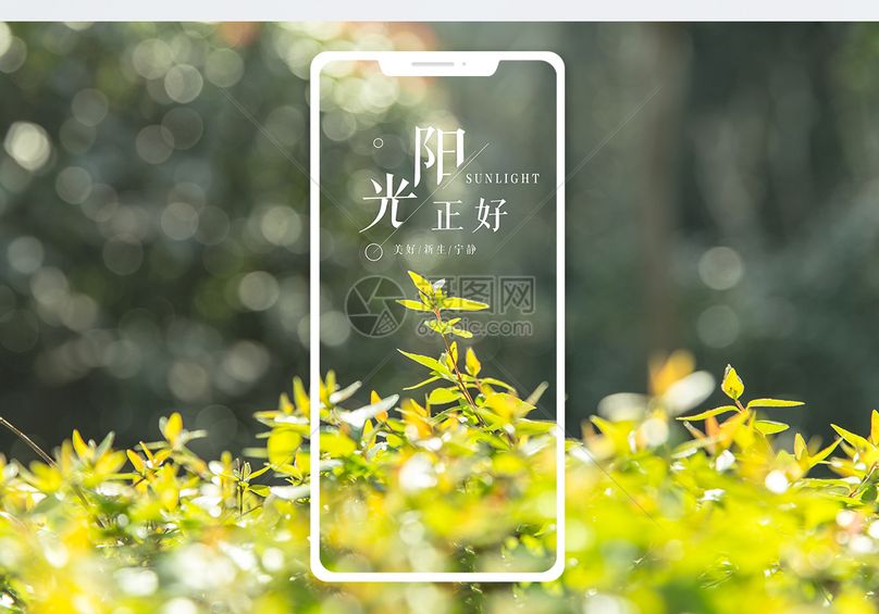 阳光正好手机海报配图