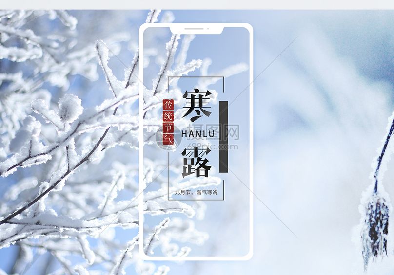 寒露手机海报配图jpg