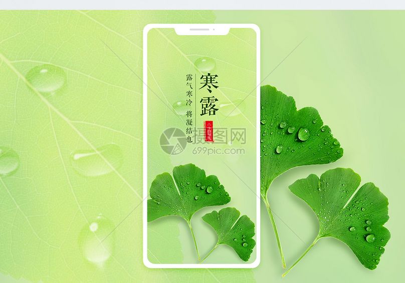 寒露手机配图海报