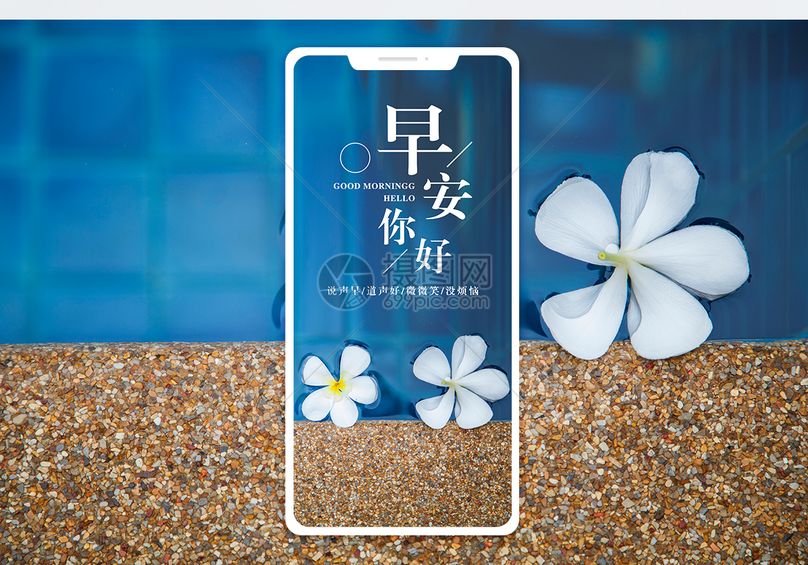 文章配图新的开始早安积极配图问候鲜花早安你好手机海报配图图片早安