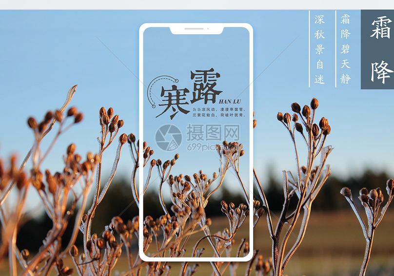 寒露手机海报配图
