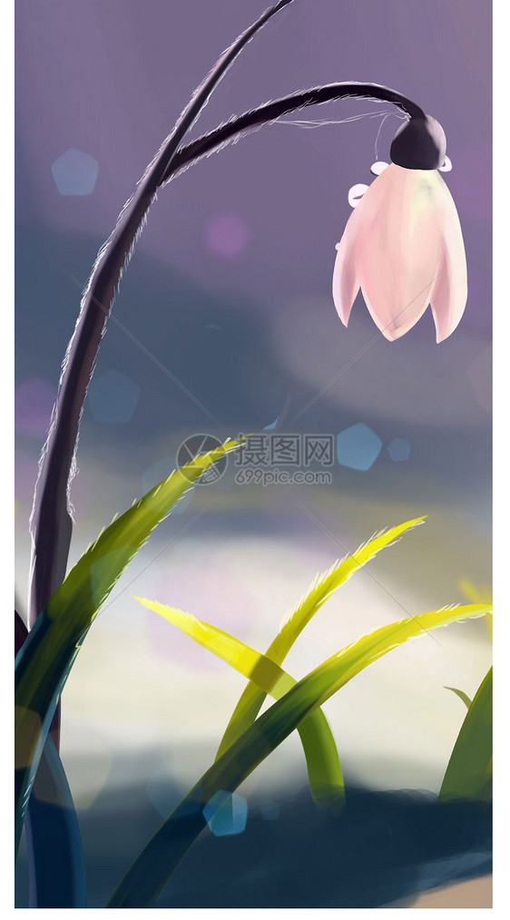 花草手机壁纸图片素材_免费下载_jpg图片格式