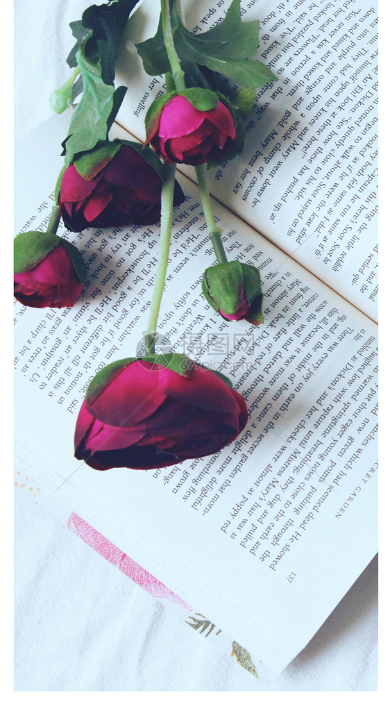 玫瑰与书手机壁纸