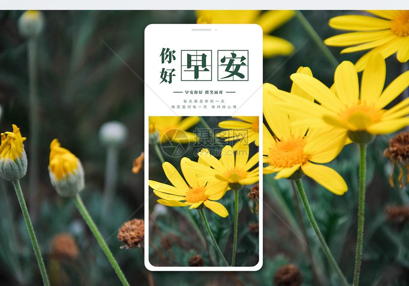 早安你好手机海报配图