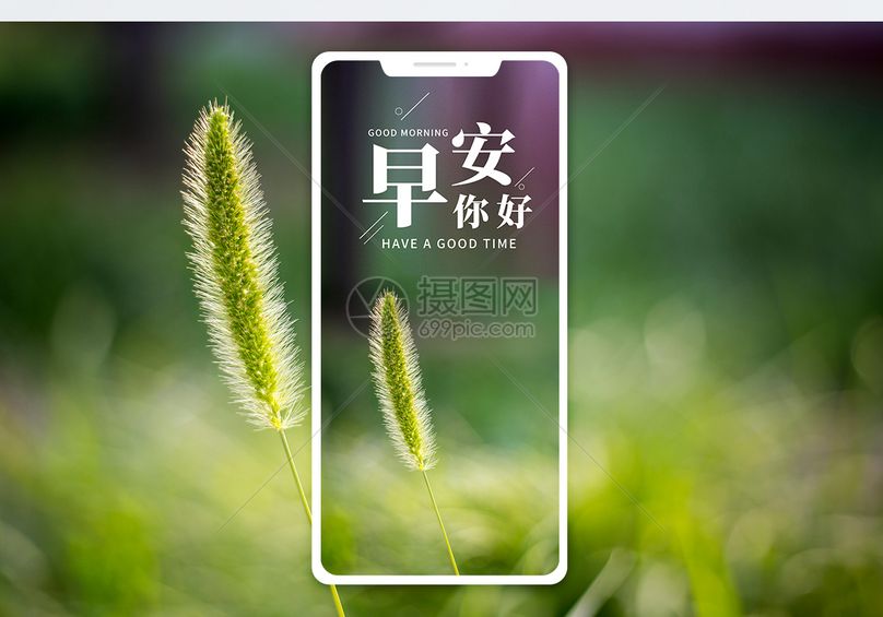 标签: 小清新微信图片微博配图手机图片手机海报文章配图日签早安植物