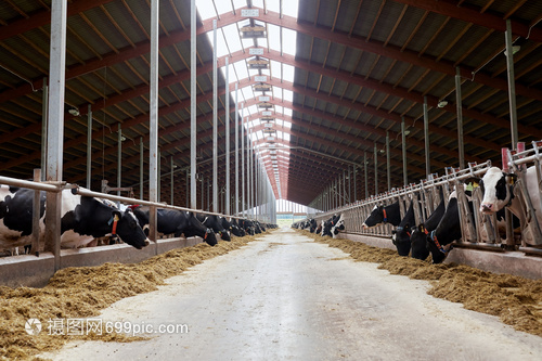 U8国际- U8国际官方网站- U8体育APP下载农牧业和畜牧业的区别