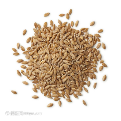 无为县级种子查验组织经过省级查核