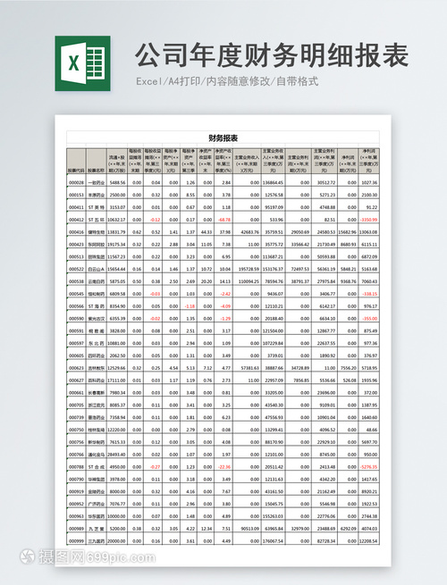 公司年度财务明细报表Excel模板