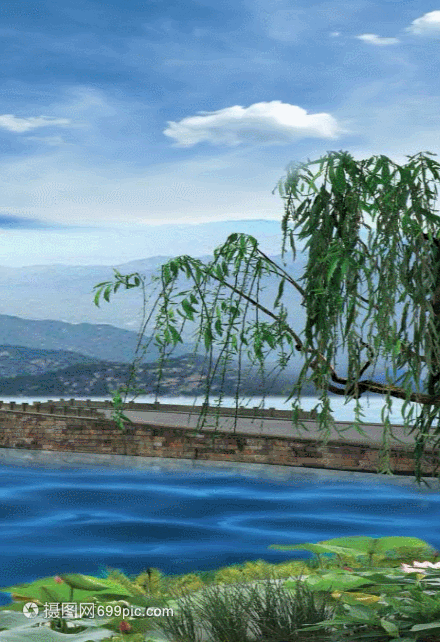西湖断桥夏至h5动态背景素材