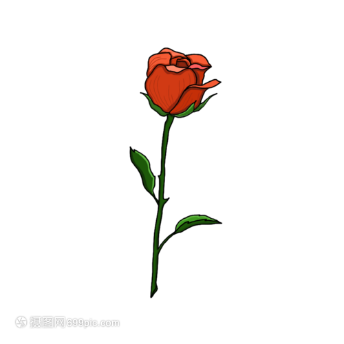 浪漫情人节一朵美丽的玫瑰花