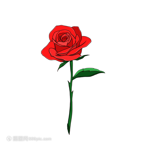浪漫情人节一朵美丽的玫瑰花