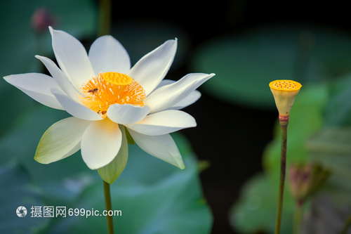 华为Vision才智屏这几款高销量值得购买