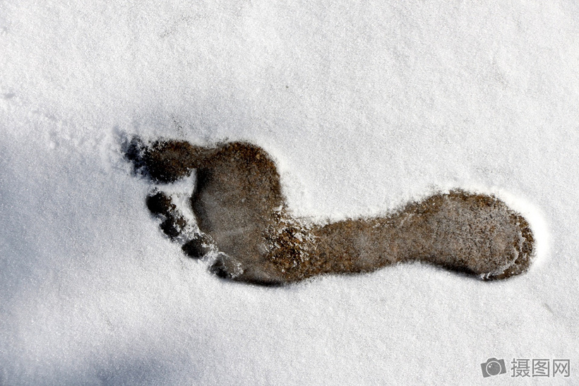 白雪地里的脚印图片   