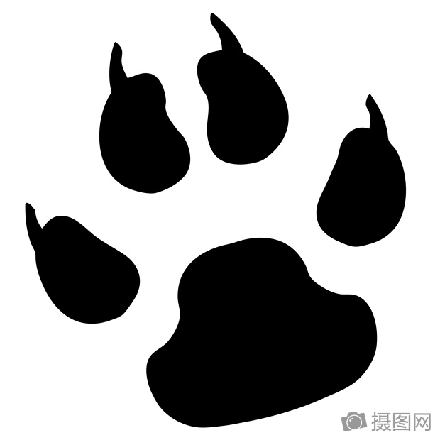 白底爪子印贴图