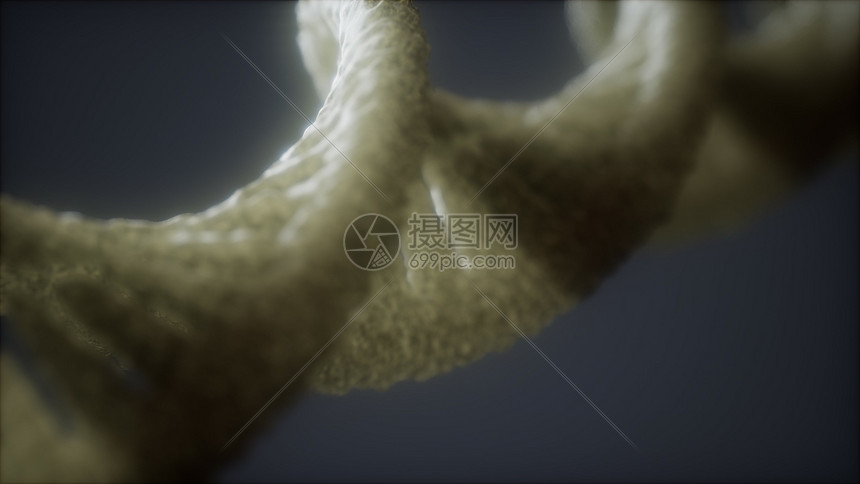 结构的DNA双螺旋循环动画,DNA分子生物逻辑片段的可循环结构的DNA双螺旋动画图片