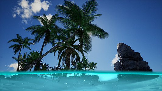 岛屿上海水棕榈树的分割视图横截面岩石透明的清水中水下,多云的天空上面岛屿上海水棕榈树的分割视图横截面图片