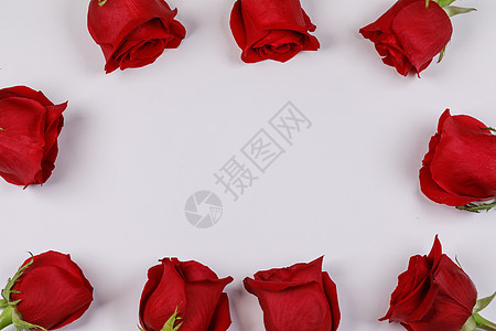 红色玫瑰花框构图白色背景上,顶部有情人节,生日,婚礼,母亲节红色玫瑰框白色图片