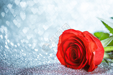 玫瑰银色发光的波基心脏背景为情人节玫瑰发光的背景上图片