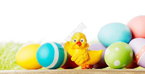 复活节构图与鸡蛋玩具小鸡绿色草地上隔离白色背景上小鸡身上有五颜六色的鸡蛋图片