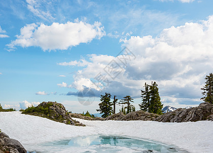 宁静的湖泊夏季的山区美丽的自然景观图片