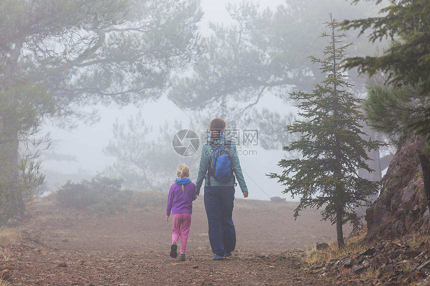 小女孩徒步旅行湾森林里的小径图片