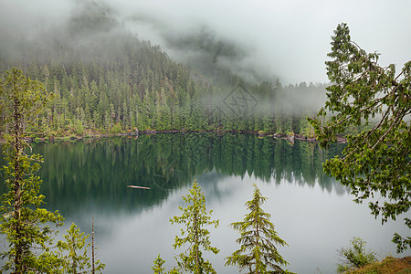 宁静的湖泊夏季的山区美丽的自然景观图片