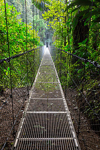 绿色丛林中交桥,哥斯达黎加,中美洲图片