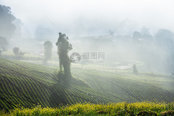 中美洲哥斯达黎加美丽的山脉景观图片