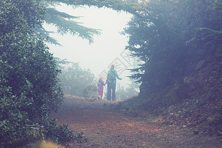 小女孩徒步旅行湾森林里的小径图片