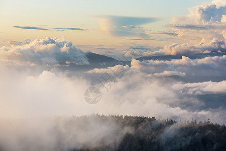 高山上的雾美丽的自然景观图片